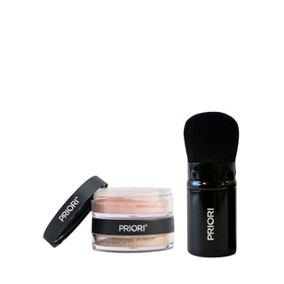 Large Kabuki Brush