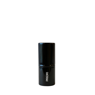 Large Kabuki Brush