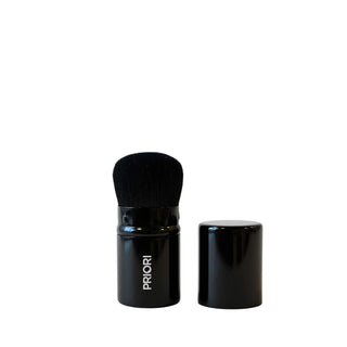 Large Kabuki Brush